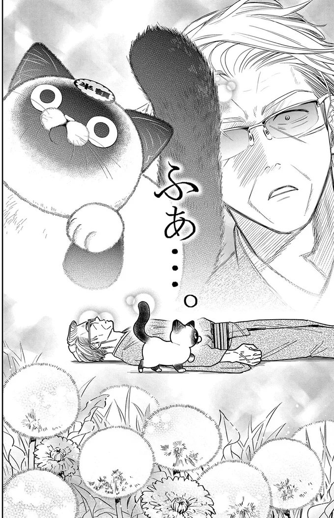 『オヤジとにゃん吉』より