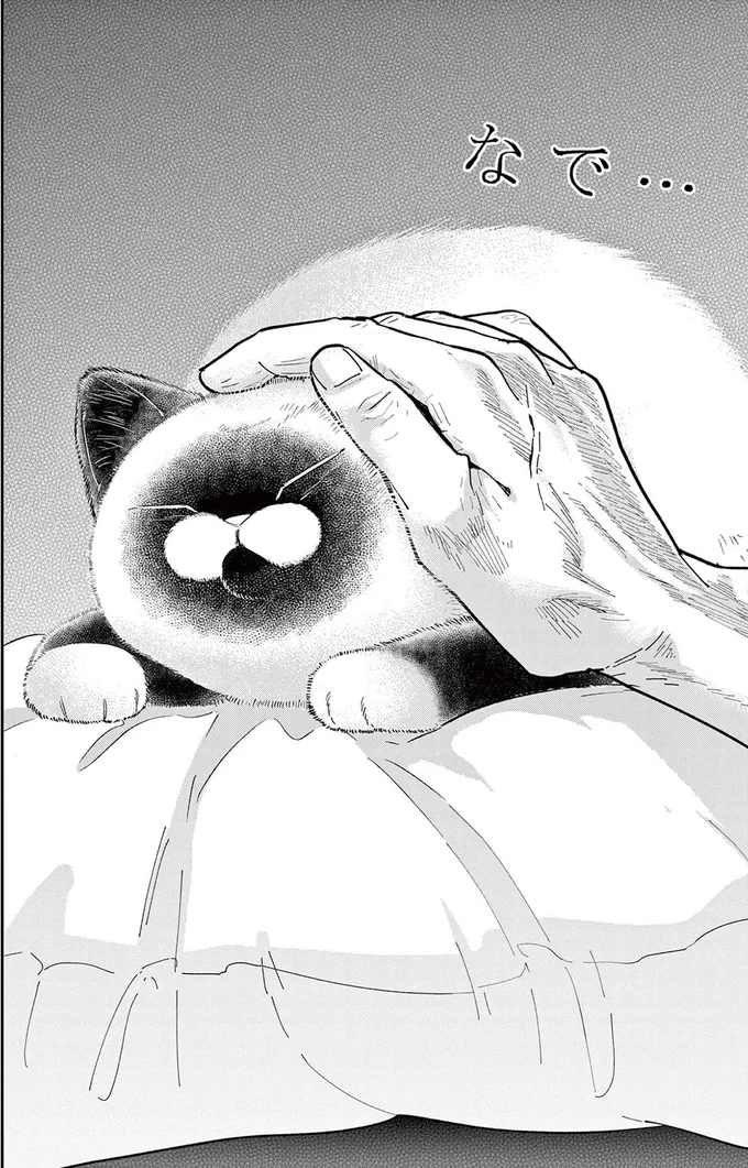 『オヤジとにゃん吉』より