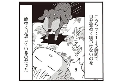 目が覚めて寝つけない