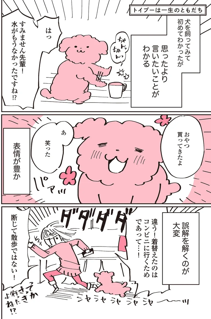 『うちのトイプーがアイドルすぎる。』より