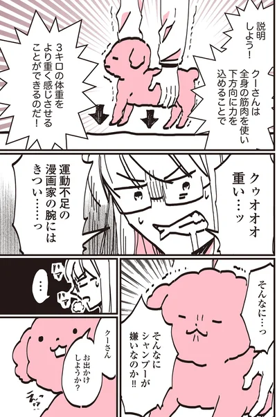 『うちのトイプーがアイドルすぎる。』より