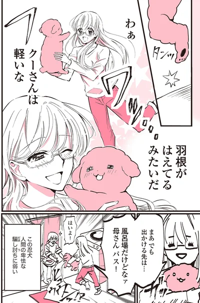 『うちのトイプーがアイドルすぎる。』より