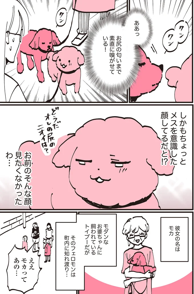 『うちのトイプーがアイドルすぎる。』より