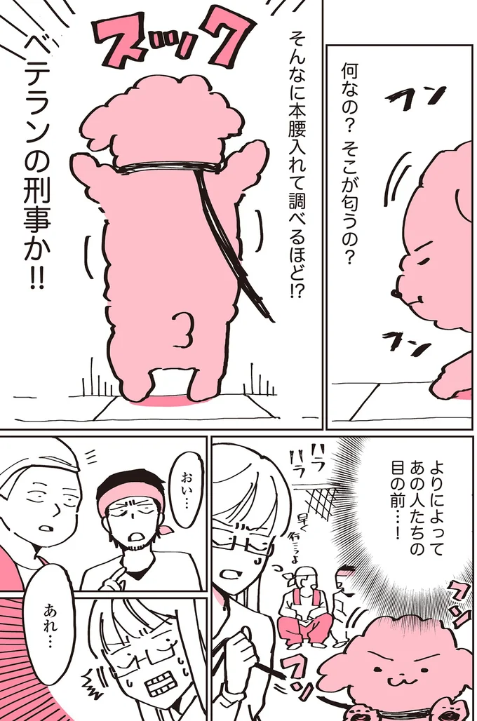 『うちのトイプーがアイドルすぎる。』より