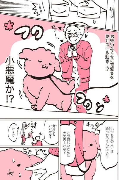 『うちのトイプーがアイドルすぎる。』より
