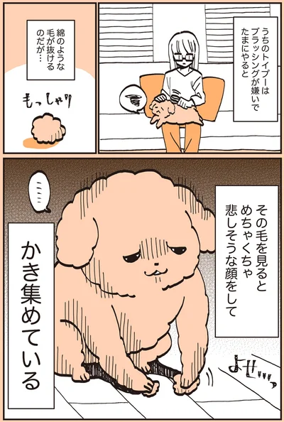『うちのトイプーがアイドルすぎる。』より