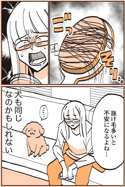 『うちのトイプーがアイドルすぎる。』より