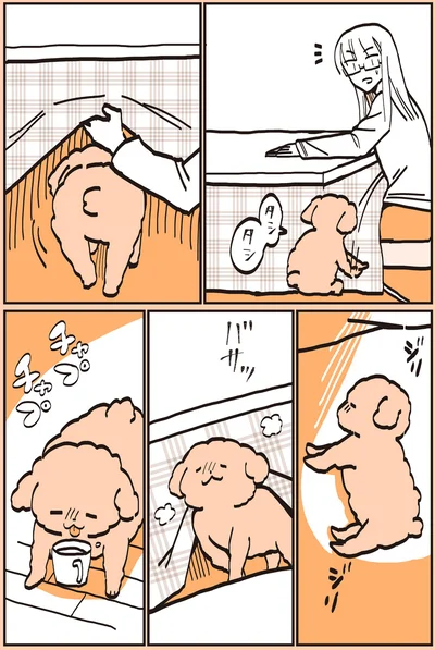 『うちのトイプーがアイドルすぎる。』より