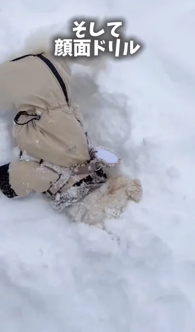 雪に顔を押し付けながら顔面ドリル！▶衝撃の姿に大変身（⇒次へ）