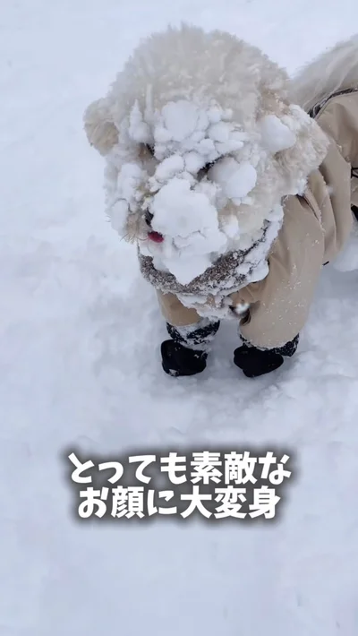 顔に雪が付きまくりの「白塗り顔」▶ふだんの凪くんの様子は…（⇒次へ）