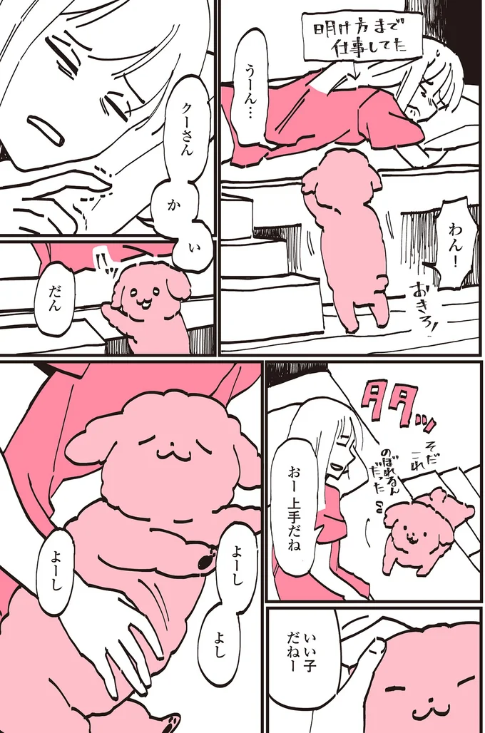 『うちのトイプーがアイドルすぎる。』より