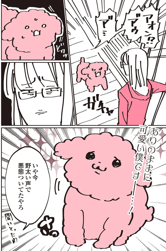 『うちのトイプーがアイドルすぎる。』より