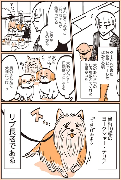 『うちのトイプーがアイドルすぎる。』より