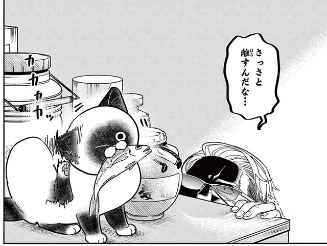 野良猫がアジを奪って逃走！ 警察が駆けつけるまさかの騒動に発展