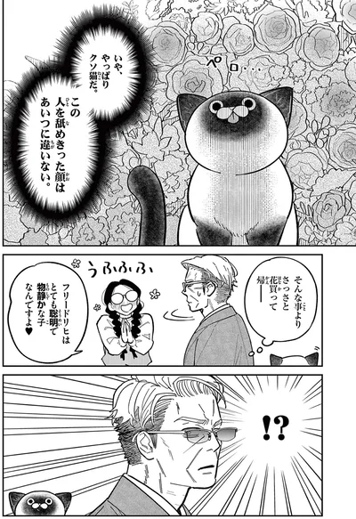 いや、やっぱりクソ猫だ