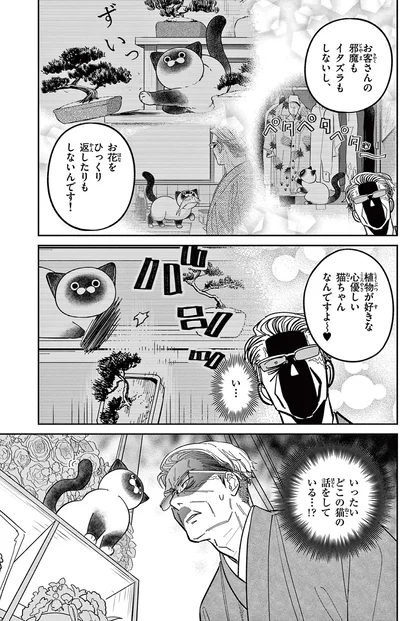 お客さんの邪魔もイタズラもしないし、お花をひっくり返したりもしないんです！