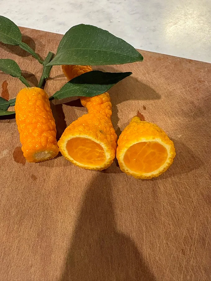 びっくり不知火のお味は普通のものより淡白だったそう▶︎おいしそう…！（⇒次へ）