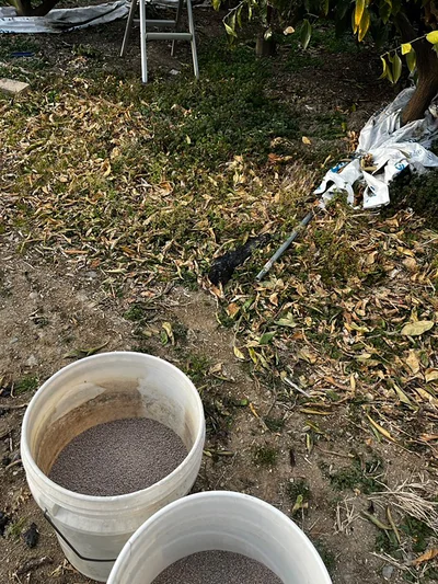 農園は大変な作業の連続なのだそう▶︎良い色！（⇒次へ）