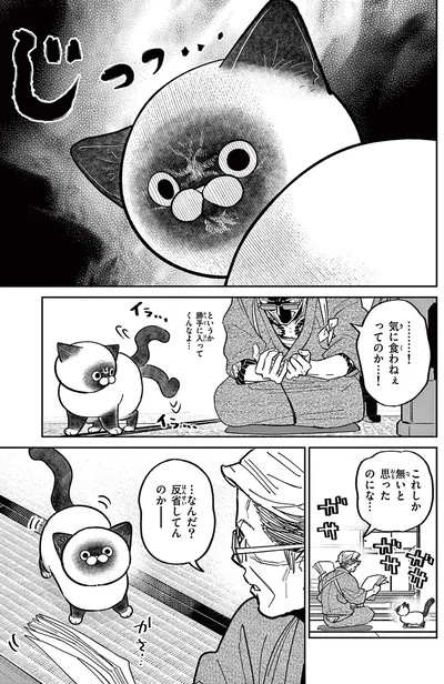 気に食わねぇってのか