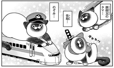 鉄砲玉のタマ？ 元極道が野良猫の命名に悩みまくった結果