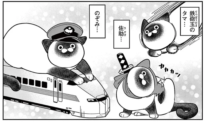 鉄砲玉のタマ？ 元極道が野良猫の命名に悩みまくった結果