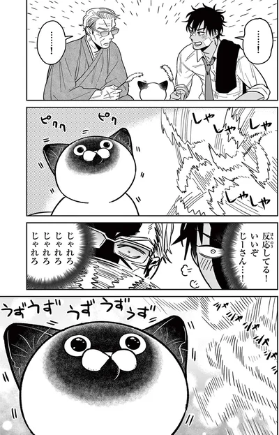 じゃれろじゃれろ