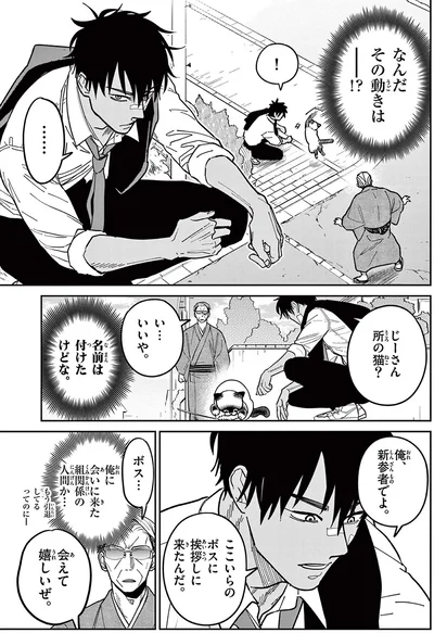 じーさん所の猫？