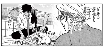 「そんなに安い男だったのか?」知らない人のじゃらしに食いつく猫にショック！