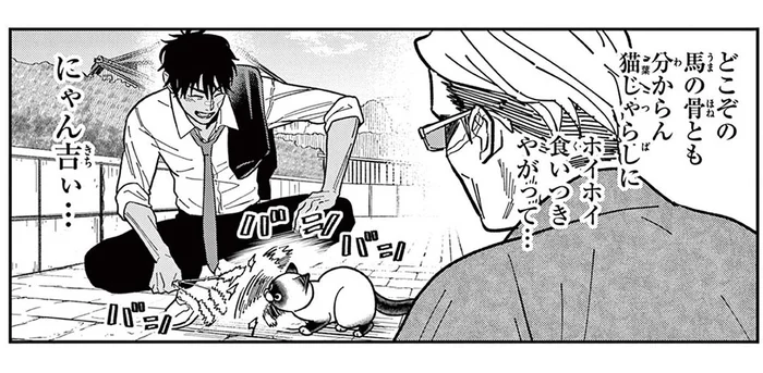 「そんなに安い男だったのか?」知らない人のじゃらしに食いつく猫にショック！