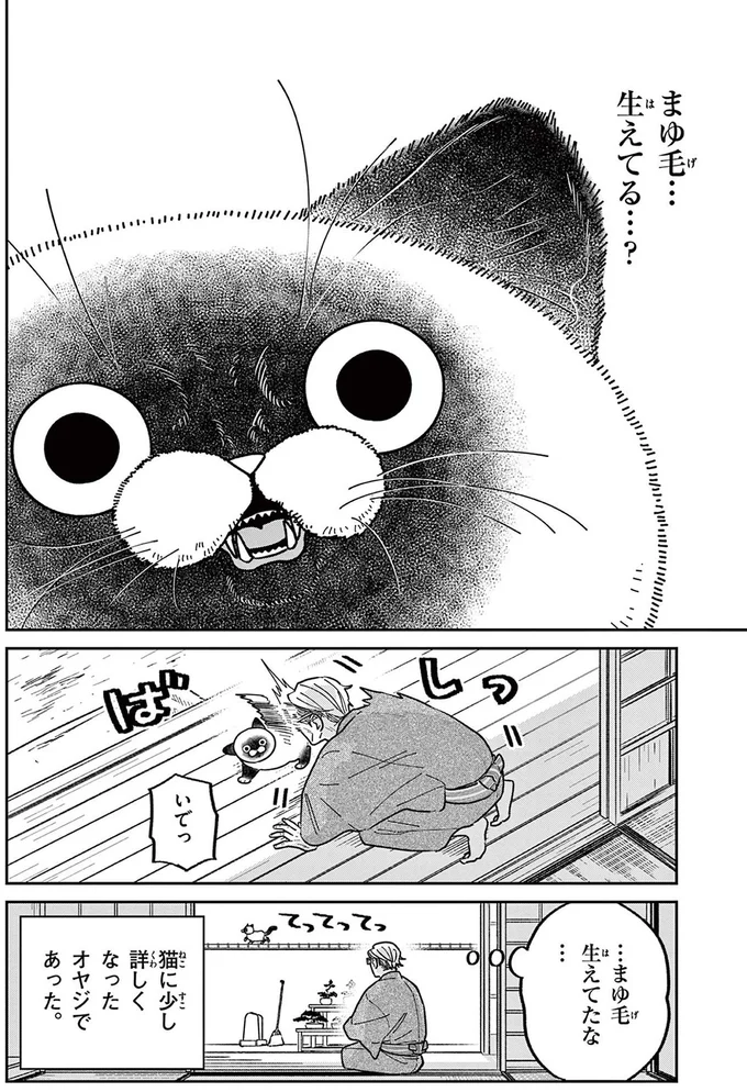 猫に少し詳しくなったオヤジであった