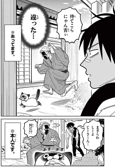 待てこら、にゃん吉ぃ