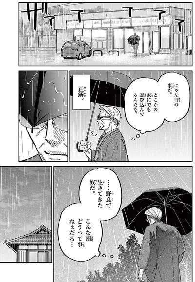 こんな雨、どうって事ねぇだろ...