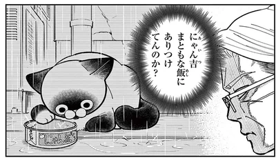 「飯にありつけてんのか？」雨の日に姿を現さない野良猫が心配すぎる！