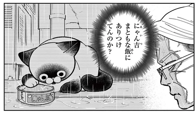 「飯にありつけてんのか？」雨の日に姿を現さない野良猫が心配すぎる！