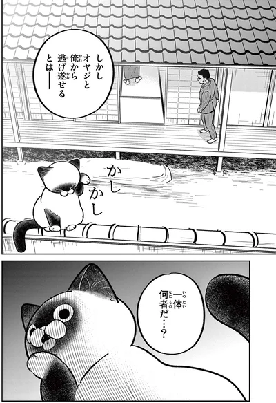 一体何者だ...？