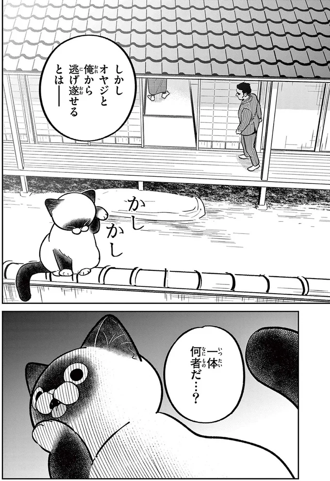 一体何者だ...？