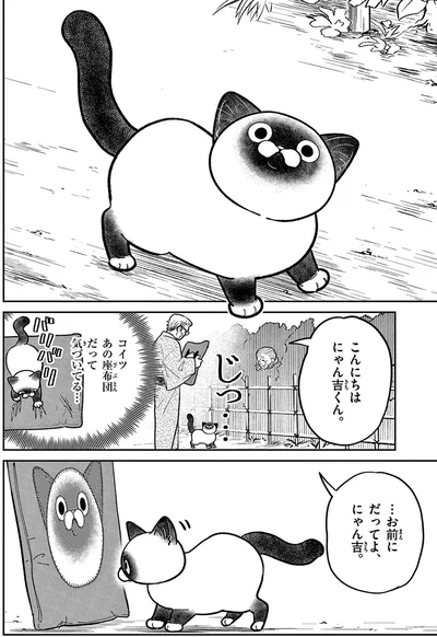 ...お前にだってよ、にゃん吉