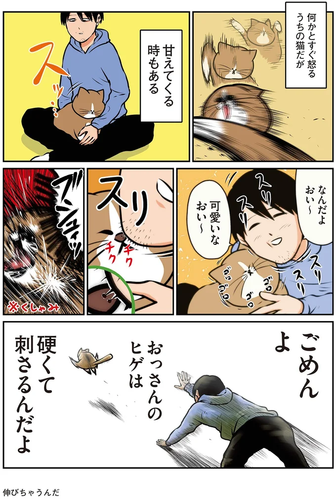 『鴻池剛と猫のぽんた ニャアアアン！4』より