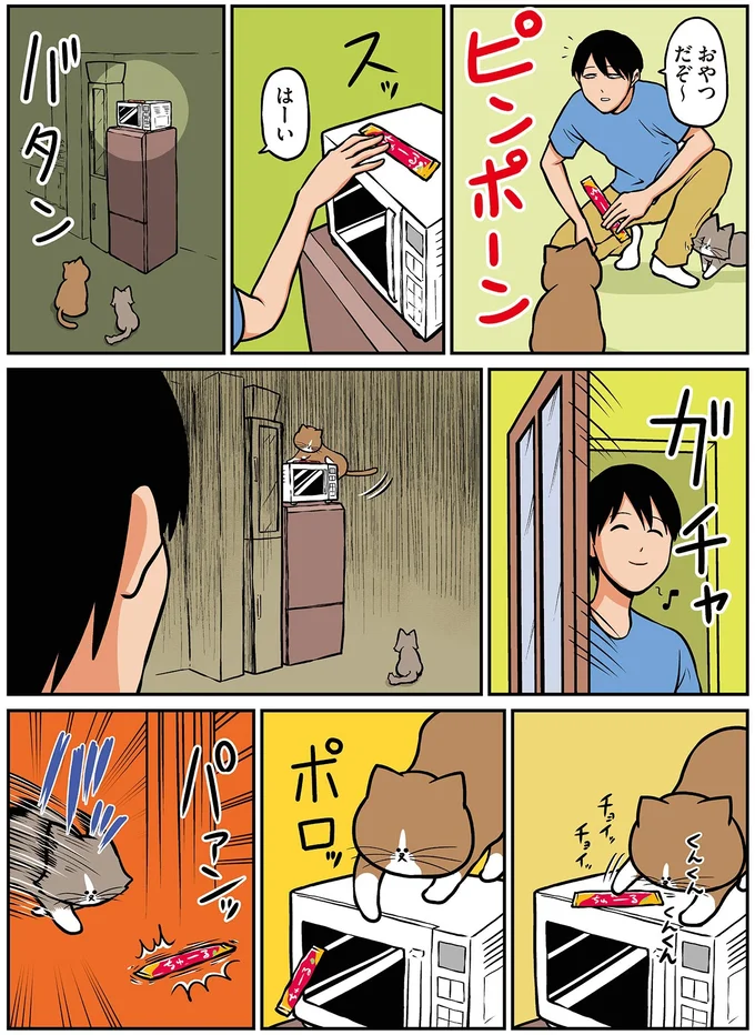 『鴻池剛と猫のぽんた ニャアアアン！4』より