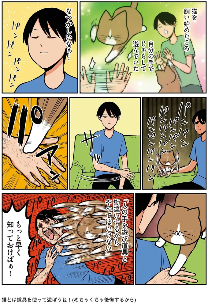 『鴻池剛と猫のぽんた ニャアアアン！4』より