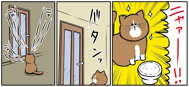 さっき食べたじゃん！部屋を行き来する度に猫がごはんを催促