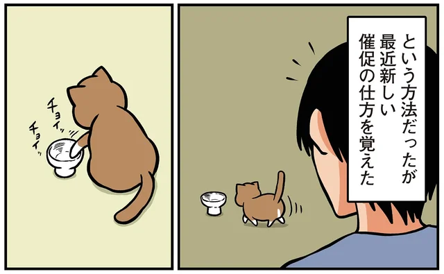 飼い主のメンタルを突いてくる！猫が覚えた新しいごはんの催促方法