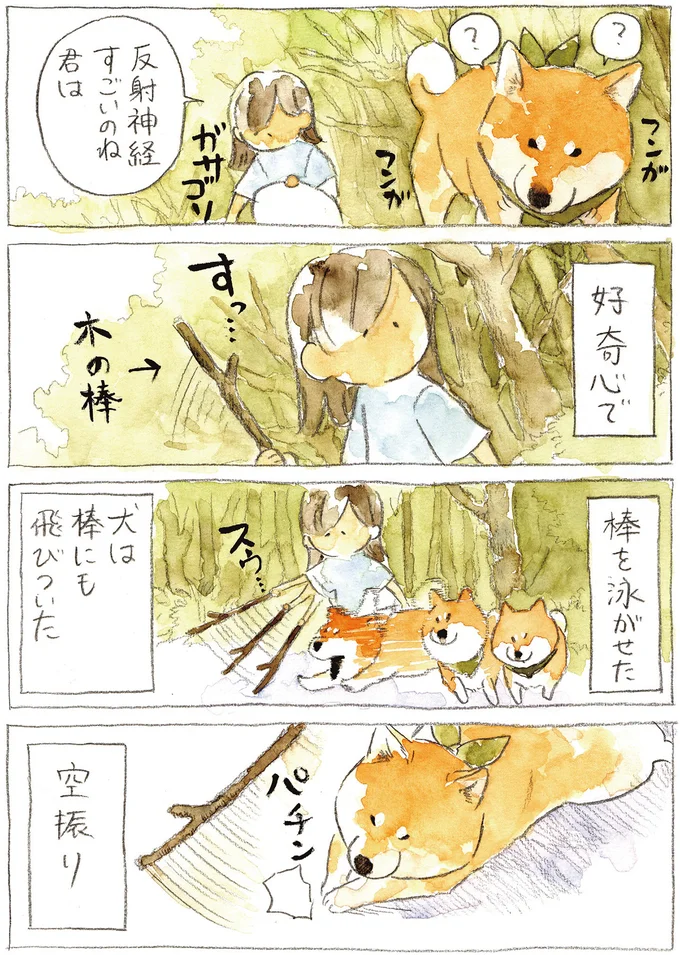 『柴犬ぽんちゃん、今日もわが道を行く2』より