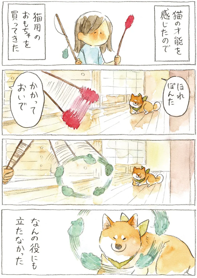 『柴犬ぽんちゃん、今日もわが道を行く2』より