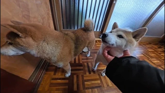 早く開けてくださーい！▶雪で遊ぶのは楽しい♪（⇒次へ）