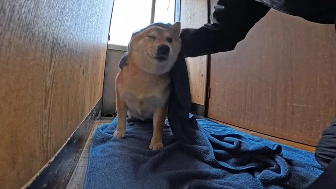 風邪ひかないようにね！▶大雪にはしゃぐココちゃんたち（⇒次へ）