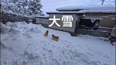 景色が変わるくらい積もり、テンションが上がります！▶産業革命前のお散歩（⇒次へ）