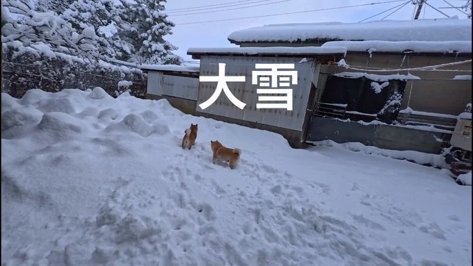 景色が変わるくらい積もり、テンションが上がります！▶産業革命前のお散歩（⇒次へ）