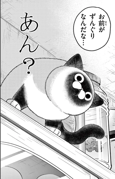 お前がずんぐりなんだな