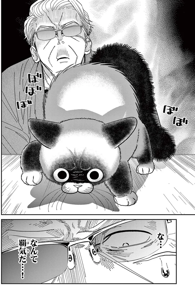 なんて覇気だ...！